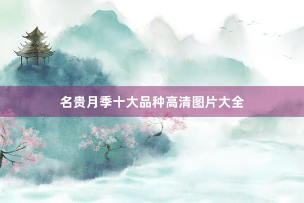 名贵月季十大品种高清图片大全